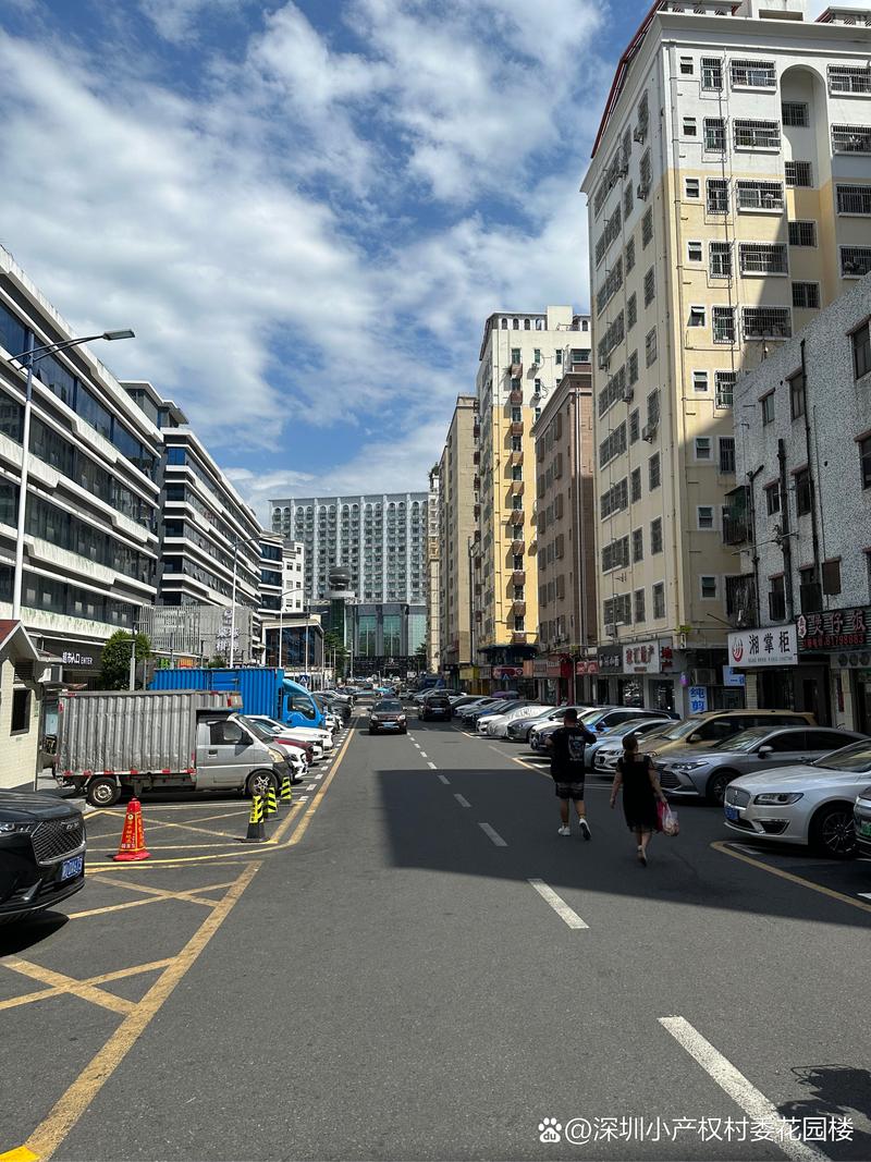 深圳城中村房东的“服务盲区”，真的比商品房房东还牛吗？