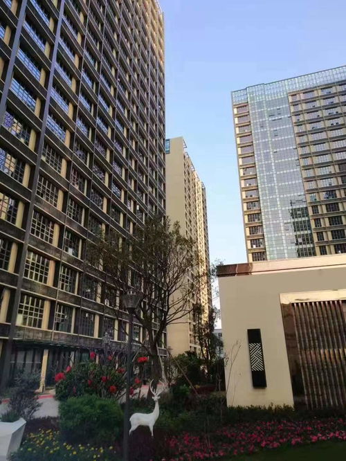 深圳商品房市场观察 供需演进与未来走向